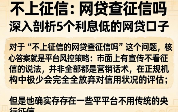 不上征信的网贷查征信吗，深入剖析5个利息低的网贷口子