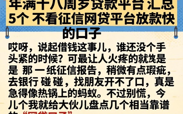 年满十八周岁贷款平台，汇总5个不看征信网贷平台放款快的口子