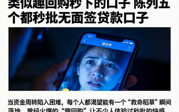 类似趣回购秒下的口子，陈列五个秒批无面签贷款口子