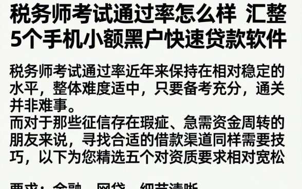 税务师考试通过率怎么样，汇整5个手机小额黑户快速贷款软件