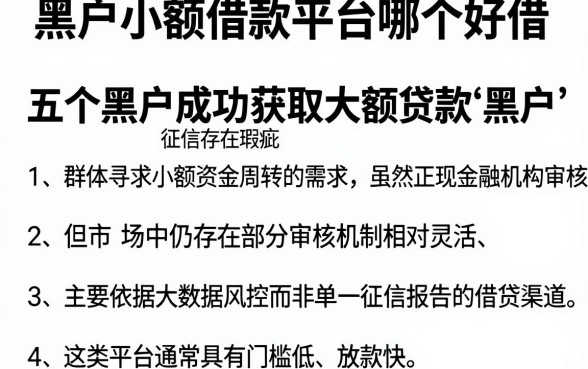黑户小额借款平台哪个好借，详尽说明五个黑户成功获取大额贷款的软件