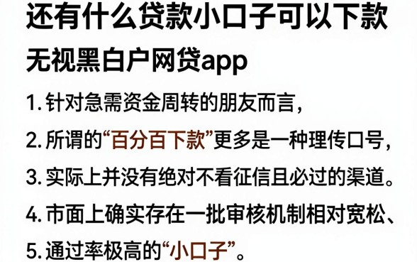 还有什么贷款小口子可以下款，胪列五个百分百下款无视黑白户网贷app