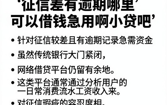 征信差有逾期哪里可以借钱急用啊小贷吧，汇整五个看银行流水的网贷平台