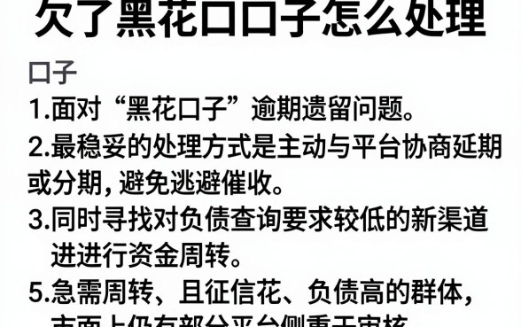 欠了黑花口子怎么处理，归集五个不看负债查询的口子