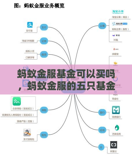 蚂蚁金服基金可以买吗，蚂蚁金服的五只基金概况