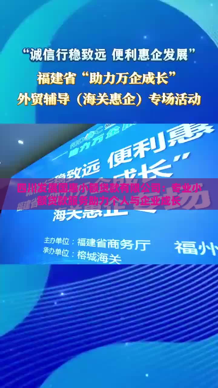 四川发展国惠小额贷款有限公司：专业小额贷款服务助力个人与企业成长
