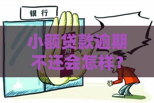 小额贷款逾期不还会怎样？这六大真实后果必须知道