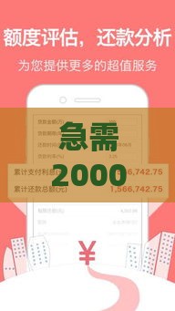 急需2000元怎么借？精选5个快速下款的正规小额贷款平台