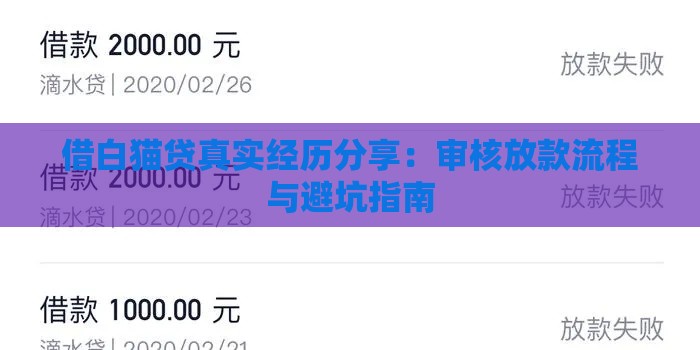 借白猫贷真实经历分享：审核放款流程与避坑指南