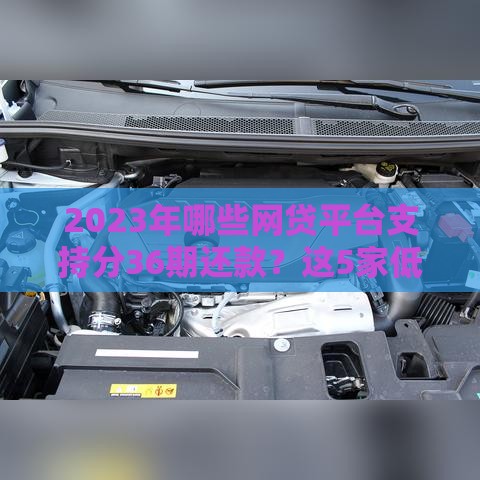 2023年哪些网贷平台支持分36期还款？这5家低息正规平台推荐