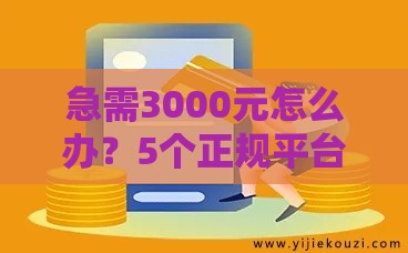 急需3000元怎么办？5个正规平台快速到账攻略