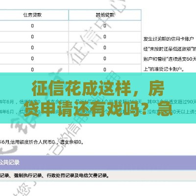 征信花成这样，房贷申请还有戏吗？急！