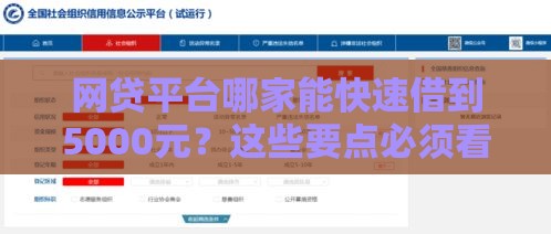 网贷平台哪家能快速借到5000元？这些要点必须看！