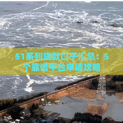 51系列贷款口子汇总：5个靠谱平台申请攻略