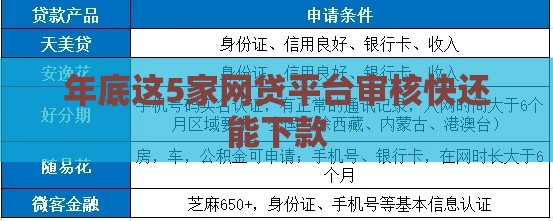 年底这5家网贷平台审核快还能下款