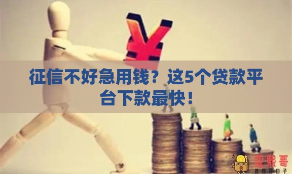 征信不好急用钱？这5个贷款平台下款最快！