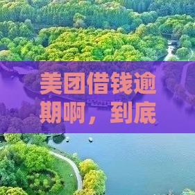 美团借钱逾期啊，到底能不能协商？教你3招解决！