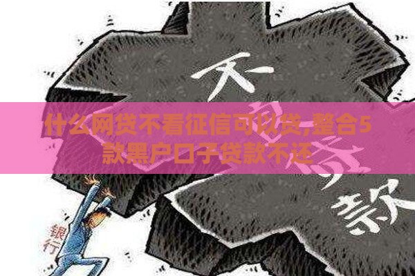 什么网贷不看征信可以贷,整合5款黑户口子贷款不还
