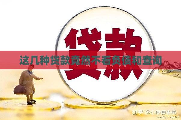 这几种贷款竟然不看负债和查询