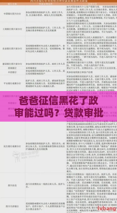 爸爸征信黑花了政审能过吗？贷款审批3大关键解析