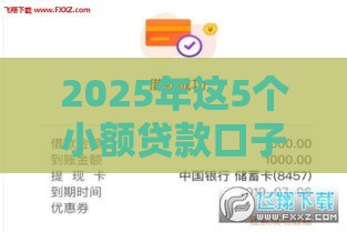 2025年这5个小额贷款口子下款超快
