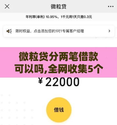 微粒贷分两笔借款可以吗,全网收集5个黑户高炮口子链接