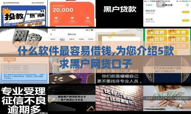 什么软件最容易借钱,为您介绍5款求黑户网贷口子