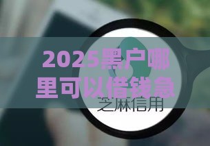 2025黑户哪里可以借钱急用,隆重介绍5个黑户口子2025年