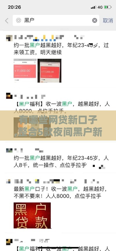有哪些网贷新口子,整合5款夜间黑户新口子
