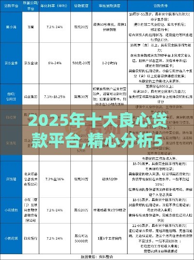 2025年十大良心贷款平台,精心分析5款最新黑户口子秒到
