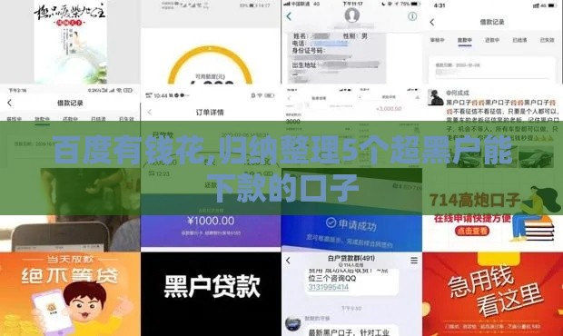 百度有钱花,归纳整理5个超黑户能下款的口子