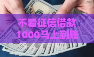 不看征信借款1000马上到账的,简单汇总5个黑户绝对下款的口子