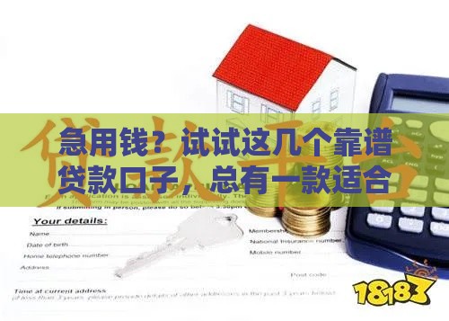 急用钱？试试这几个靠谱贷款口子，总有一款适合你！