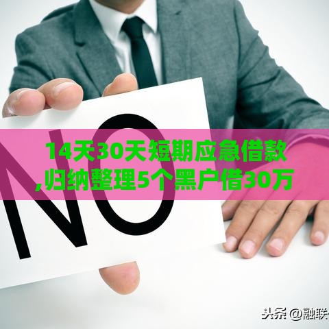 14天30天短期应急借款,归纳整理5个黑户借30万的口子
