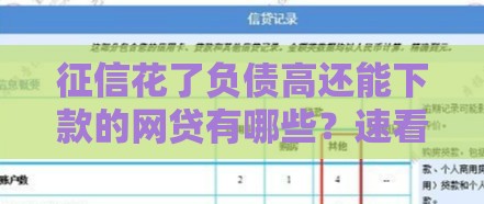 征信花了负债高还能下款的网贷有哪些？速看最新攻略！