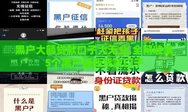 黑户大额贷款口子大无业,全网收集5个黑户最新货款口子