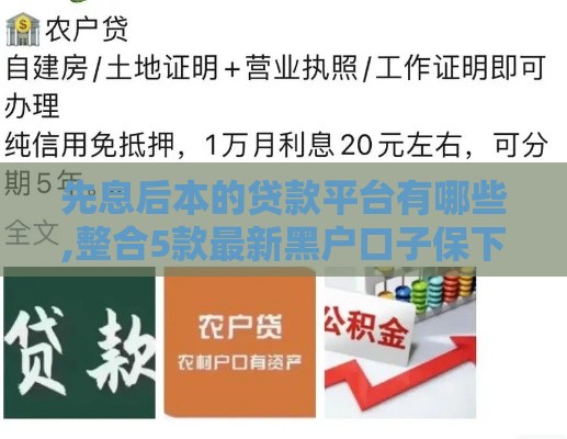 先息后本的贷款平台有哪些,整合5款最新黑户口子保下