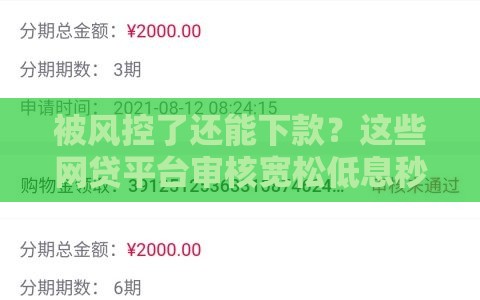 被风控了还能下款？这些网贷平台审核宽松低息秒到账！