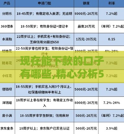 现在能下款的口子有哪些,精心分析5款借款黑户口子大全