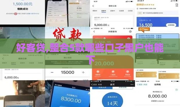 好客贷,整合5款哪些口子黑户也能下