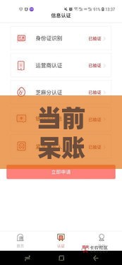 当前呆账下款口子,整合5款今天黑户口子