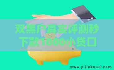 双黑户真实评测秒下款1000小贷口子