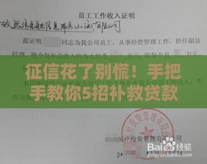 征信花了别慌！手把手教你5招补救贷款资质