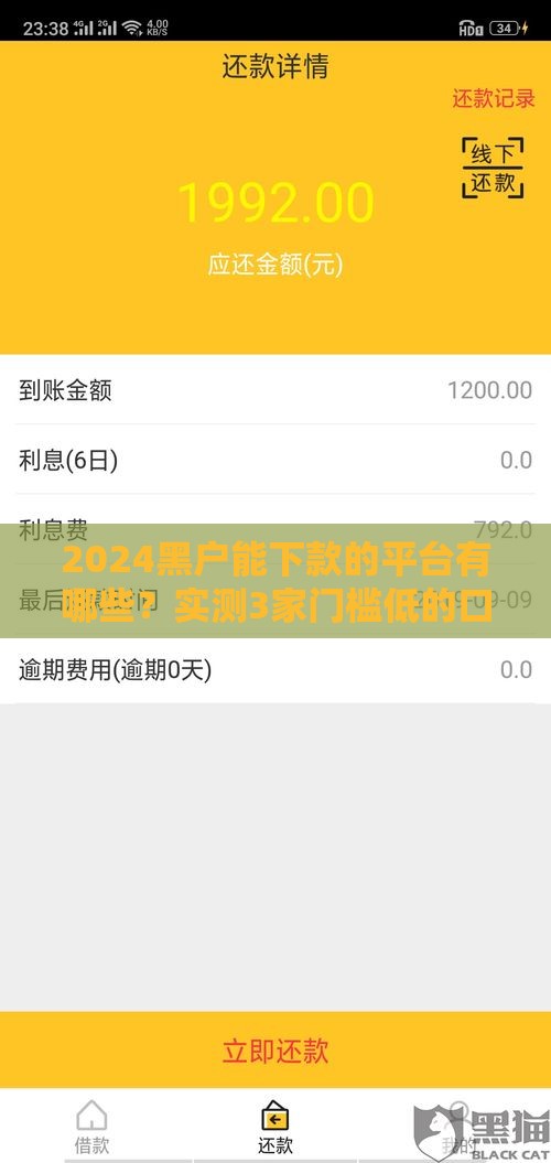 2024黑户能下款的平台有哪些？实测3家门槛低的口子