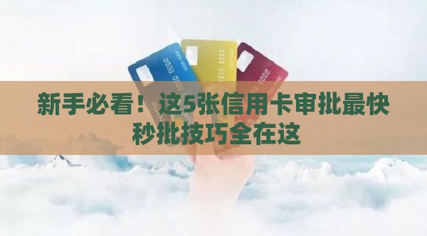 新手必看！这5张信用卡审批最快 秒批技巧全在这