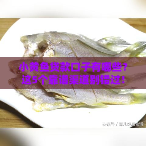 小黄鱼贷款口子有哪些？这5个靠谱渠道别错过！