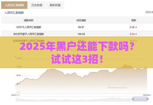 2025年黑户还能下款吗？试试这3招！