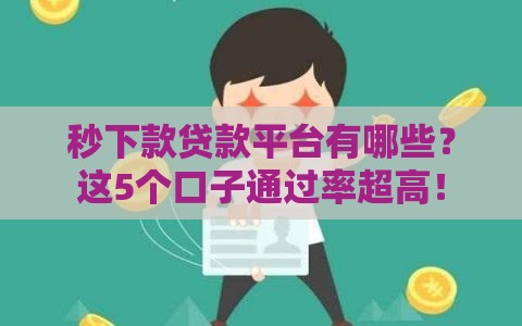 秒下款贷款平台有哪些？这5个口子通过率超高！