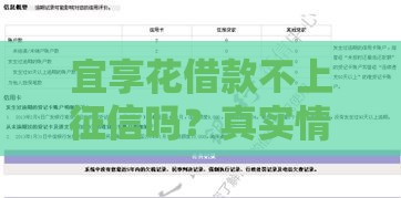 宜享花借款不上征信吗？真实情况深度解析