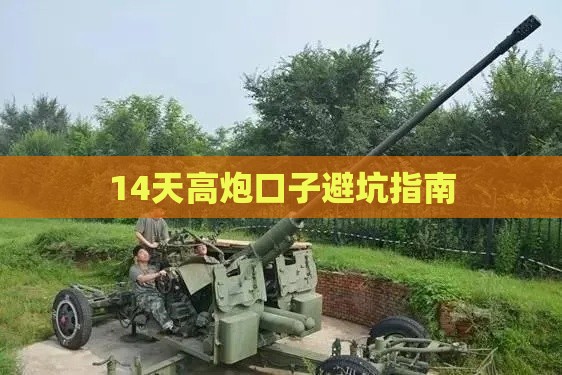 14天高炮口子避坑指南
